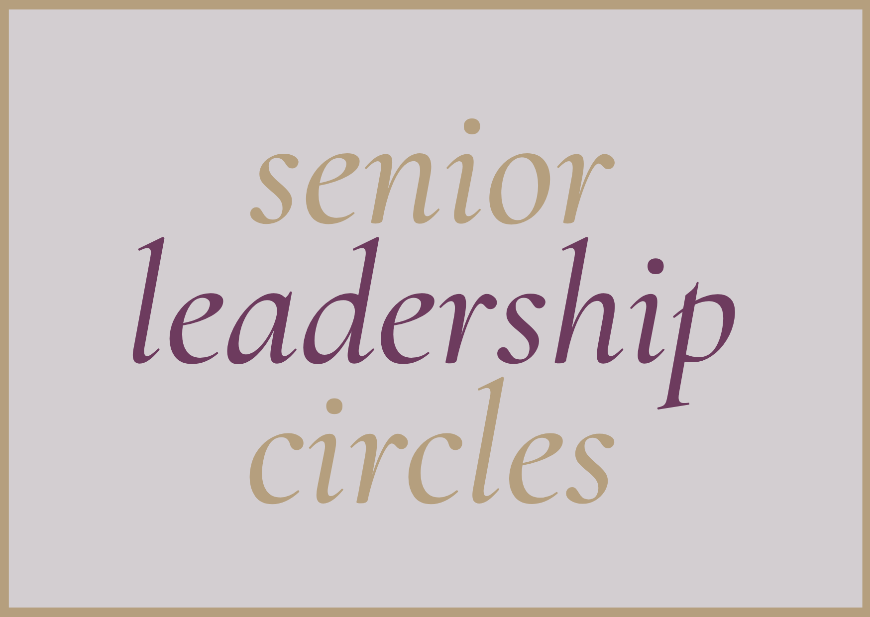 Senior Leadership Circles image